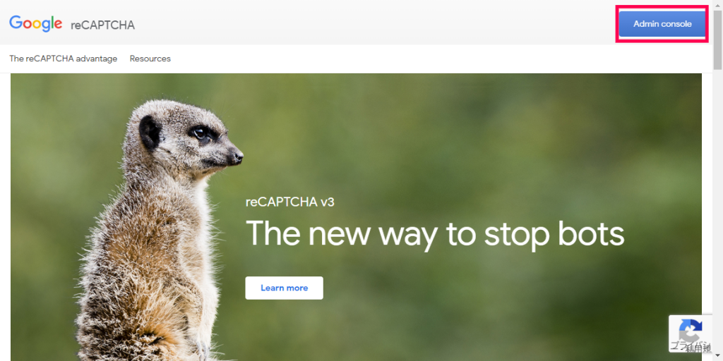 Google reCAPTURE