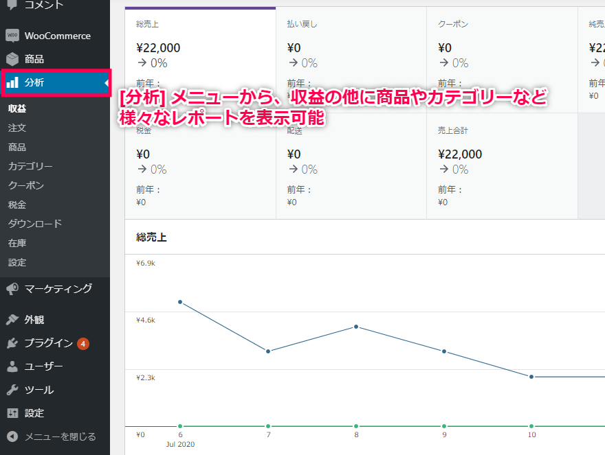 分析レポート