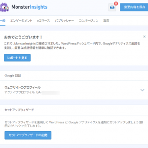 Monster Insights Pro