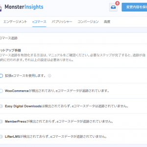 Monster Insights Pro
