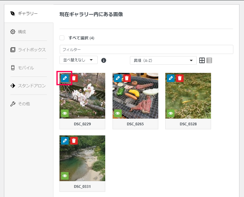 Envira Galleryの画像にメタデータを含める方法