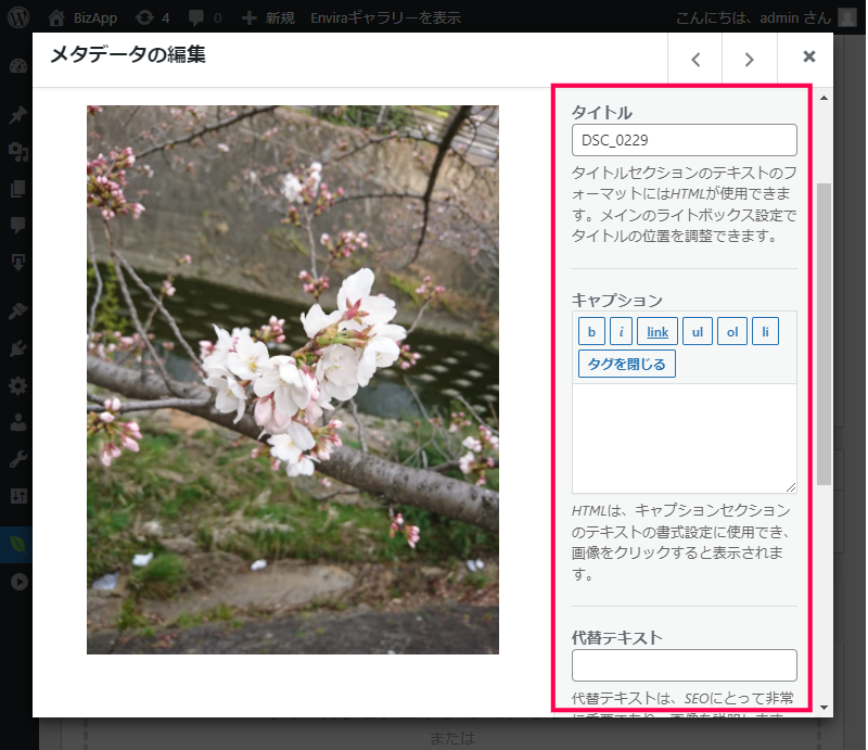 Envira Galleryの画像にメタデータを含める方法