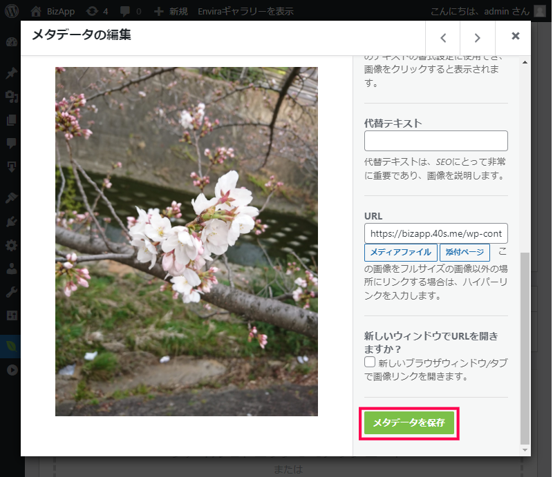 Envira Galleryの画像にメタデータを含める方法