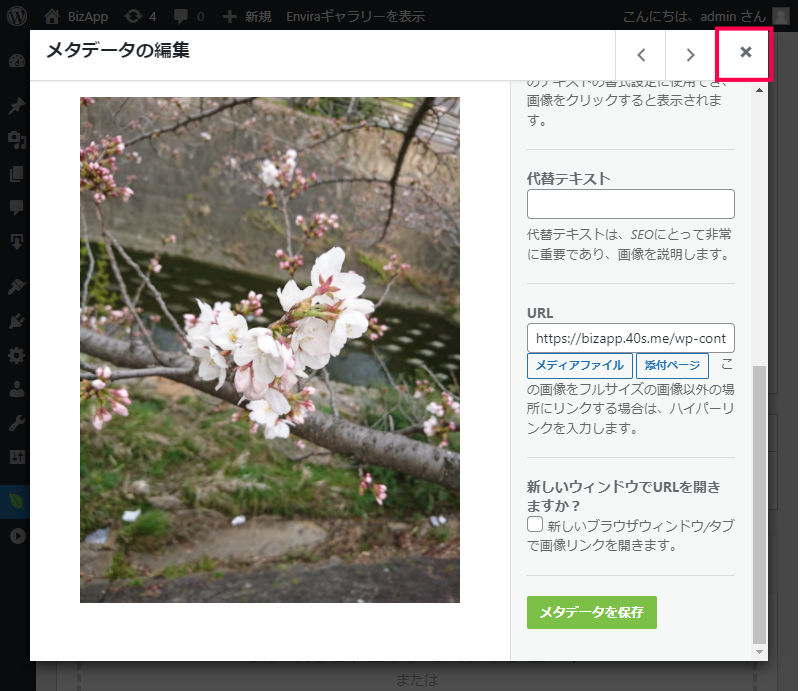 Envira Galleryの画像にメタデータを含める方法